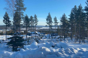 Vackert fjällhus med underbar utsikt, Järvsö